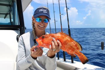 Strawberry grouper
