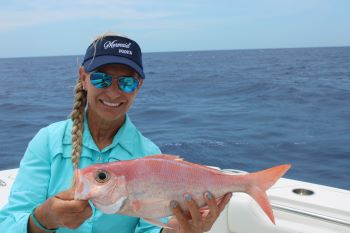 Wenchman Snapper